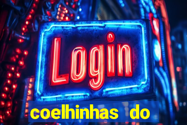 coelhinhas do brasil acompanhantes